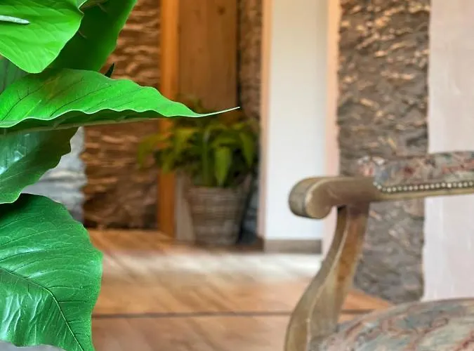 L'intemporel * ラ・ロシュ・アン・アルデンヌ