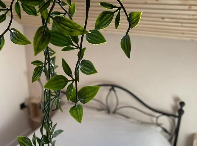 L'intemporel 別荘 *